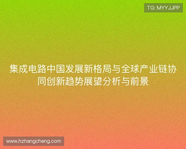 集成电路中国发展新格局与全球产业链协同创新趋势展望分析与前景